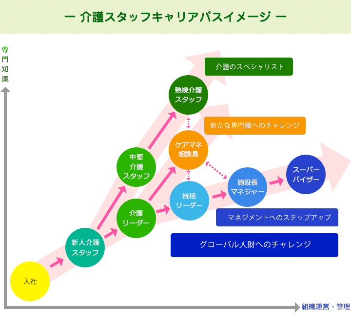 キャリアパスイメージ